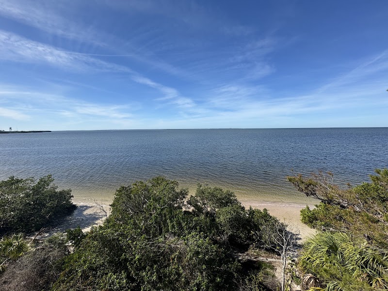Discover the Natural Beauty of Key Vista Nature Park - Key Vista Nature Park
