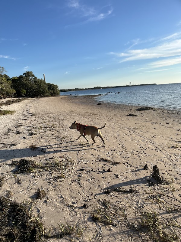 Discover the Natural Beauty of Key Vista Nature Park surrounding landscape