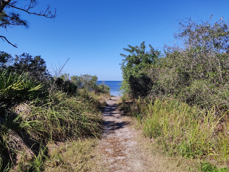 Discover the Natural Beauty of Key Vista Nature Park - Key Vista Nature Park