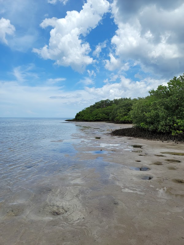 Discover Nature at Robert K Rees Memorial Park - Robert K Rees Memorial Park