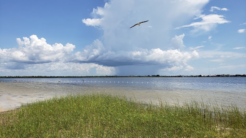 Discover Nature at Robert K Rees Memorial Park - Robert K Rees Memorial Park