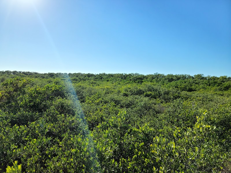 Discover Nature at Robert K Rees Memorial Park surrounding landscape