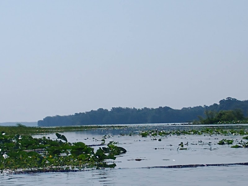 Discover the Marjorie Harris Carr Cross Florida Greenway surrounding landscape