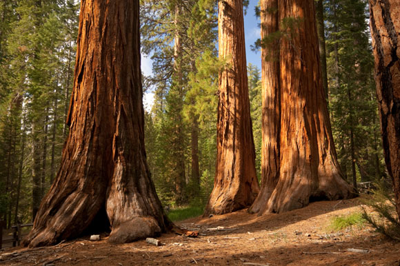 Smith River National Recreation Area adventures