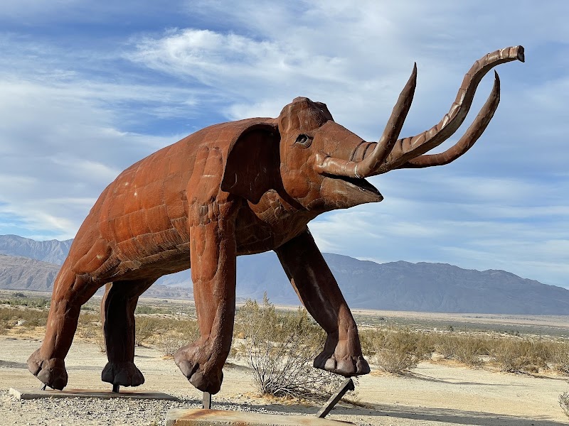 Blooming Marvels: Anza-Borrego Desert State Park - Anza-Borrego Desert State Park