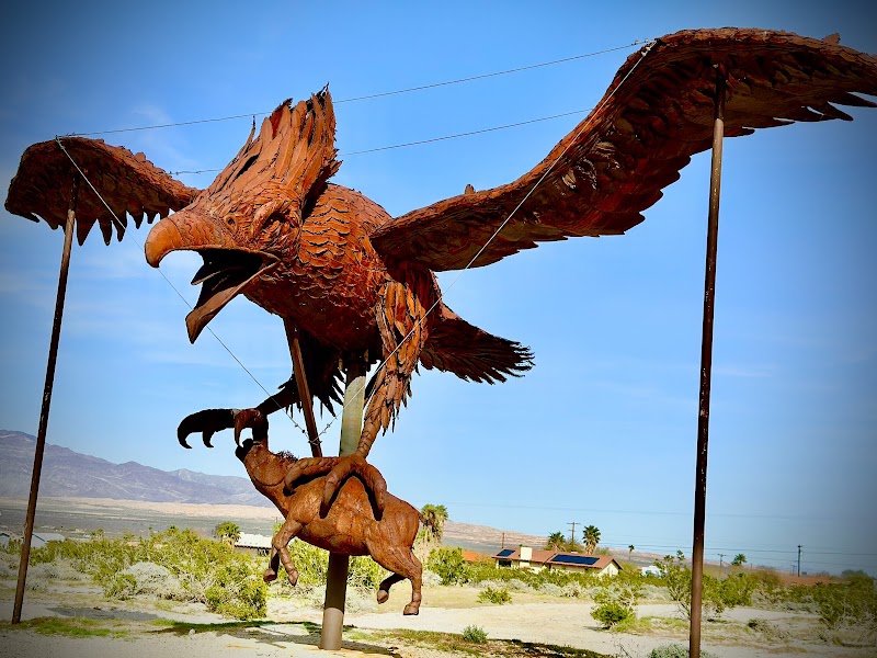 Blooming Marvels: Anza-Borrego Desert State Park outdoor detail