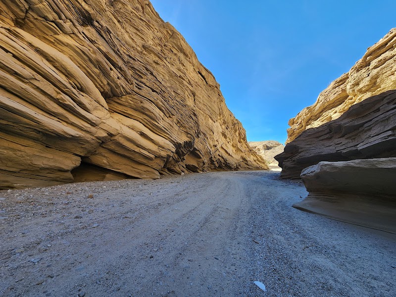 Blooming Marvels: Anza-Borrego Desert State Park - Anza-Borrego Desert State Park
