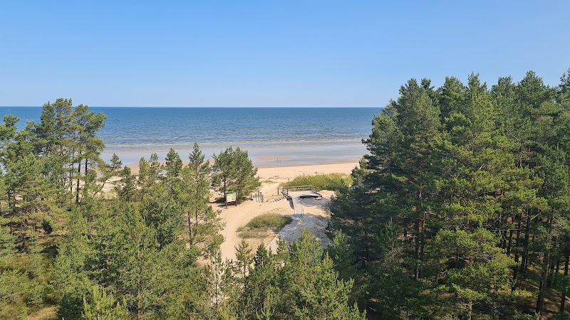 Discovering the Natural Beauty of Slītere National Park - Slītere National Park