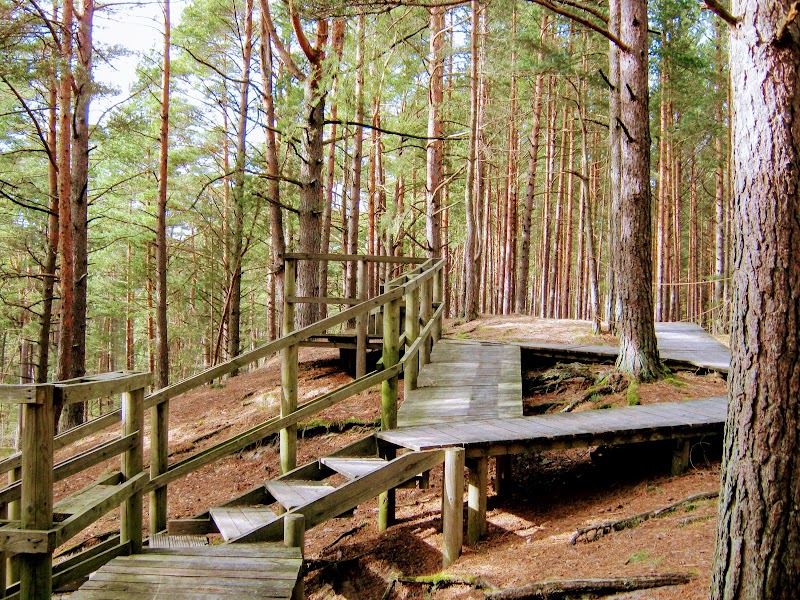 Nature's Boardwalk: Ragakāpa, Jūrmala - Ragakāpa