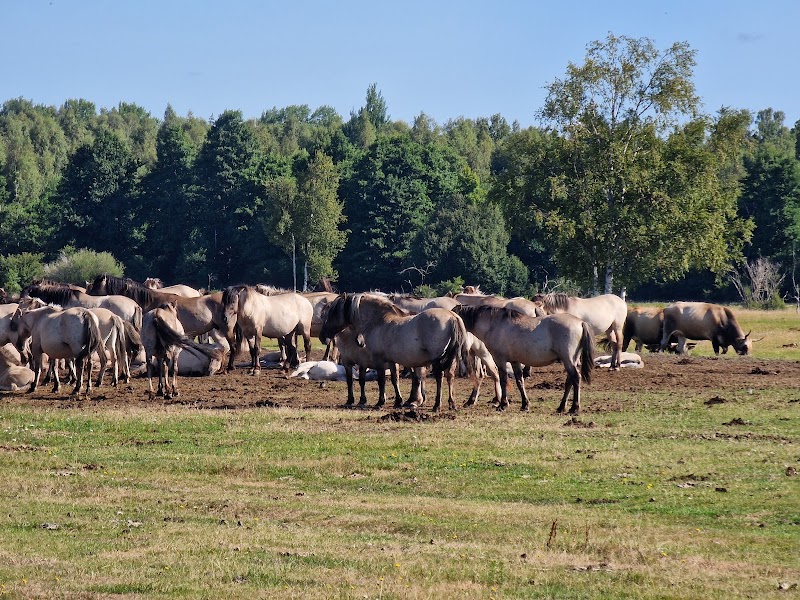 Wildlife Wonders of Pape Nature Park - Pape nature park