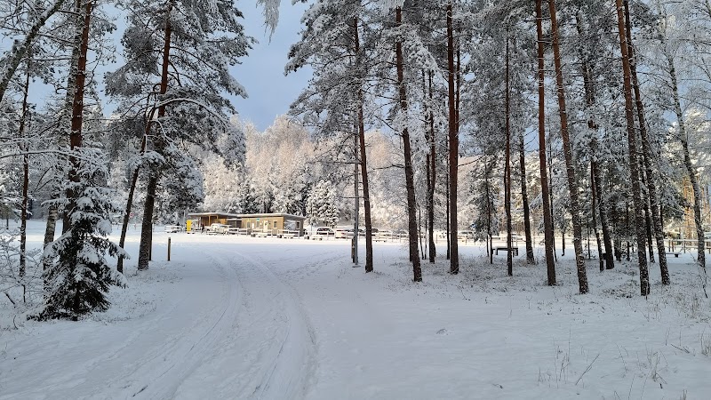Discover the Natural Beauty of Zilie Kalni - Zilie kalni