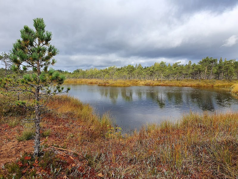 Discover the Wilderness of Teiči Nature Reserve - Teiči Nature Reserve