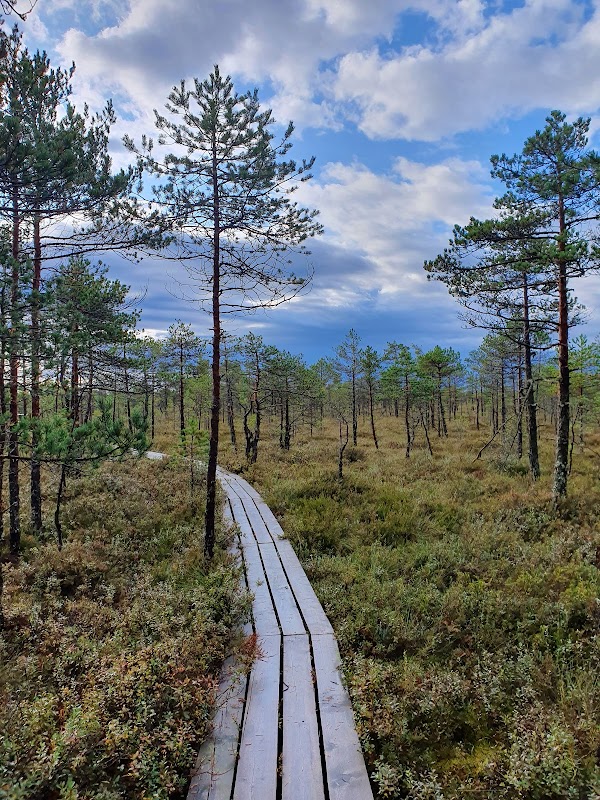 Discover the Wilderness of Teiči Nature Reserve - Teiči Nature Reserve