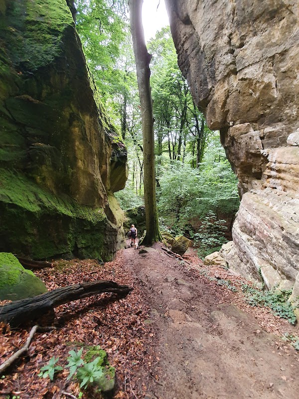 Majestic Pathways at Gorges du Loup - Gorges du Loup