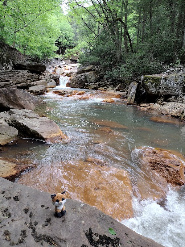 Discover Douglas Falls: A Natural Escape outdoor detail