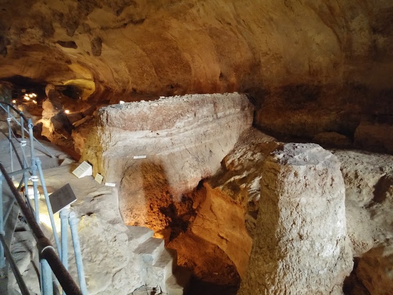 Discover the Depths of Għar Dalam Cave - Għar Dalam Cave