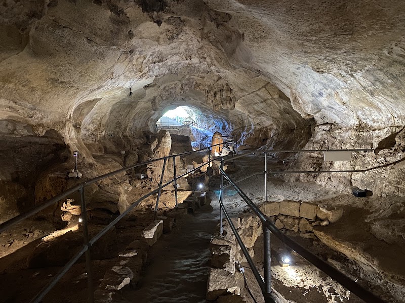 Discover the Depths of Għar Dalam Cave - Għar Dalam Cave