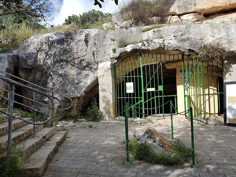 Discover the Depths of Għar Dalam Cave - Għar Dalam Cave