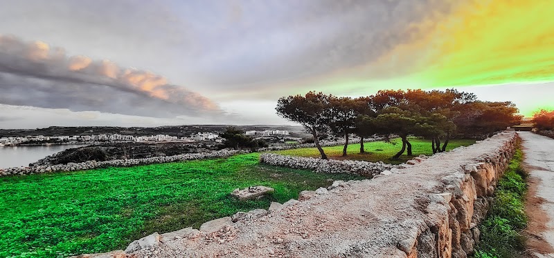 Exploring Selmun's Natural Wonders surrounding landscape