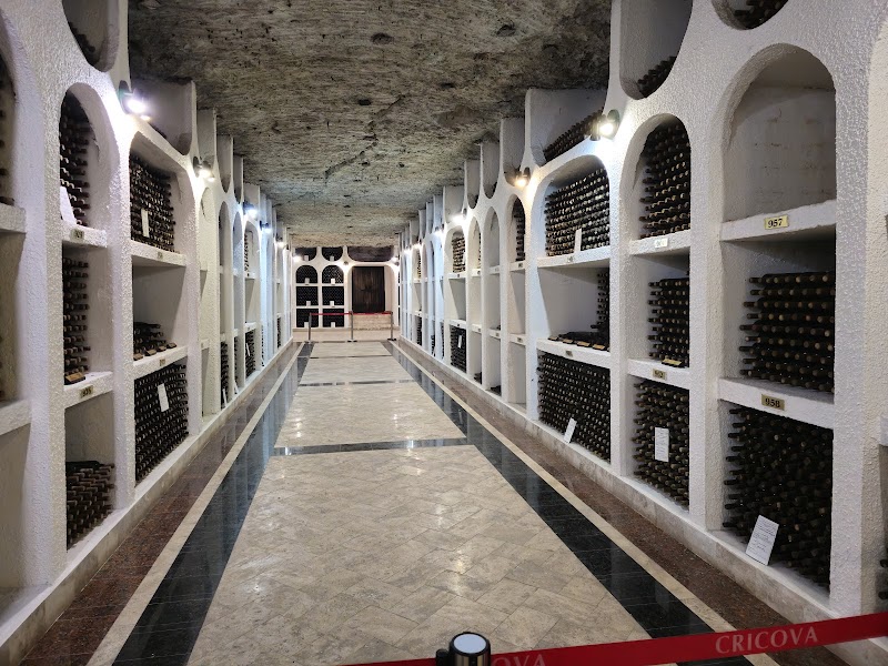 Underground Marvels of Cricova Vinery - Cricova Vinery