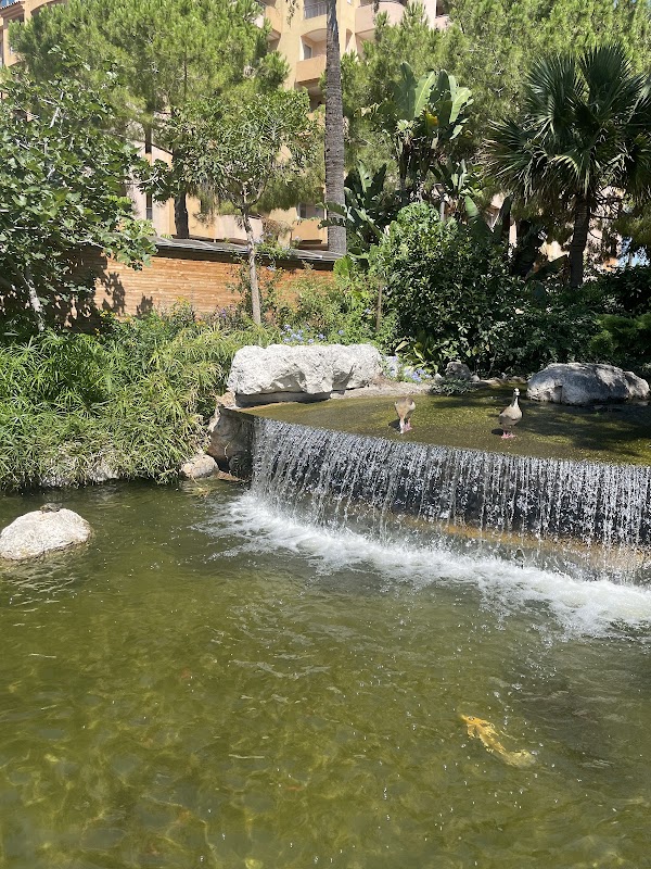Exploring Jardin aux Canards: A Hidden Gem in Monaco - Jardin aux Canards