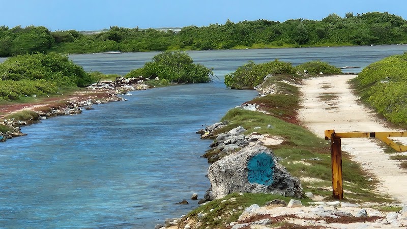 Seaside Serenity at Bonaire - Bonaire
