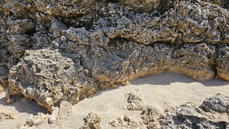 Coastal Wonders of Boka Kokolishi - Boka Kokolishi