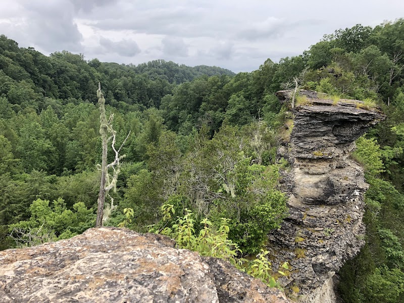 Geological Marvel: Window Cliffs, Tennessee - Window Cliffs State Natural Area
