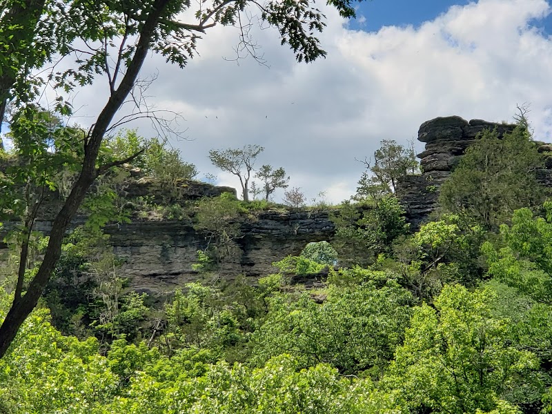 Geological Marvel: Window Cliffs, Tennessee - Window Cliffs State Natural Area