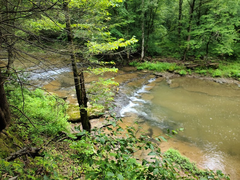 Geological Marvel: Window Cliffs, Tennessee - Window Cliffs State Natural Area