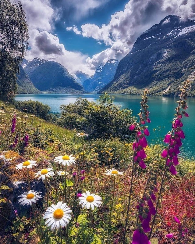 Lovatnet Lake: A Tranquil Gem in Norway's Stryn - Lovatnet