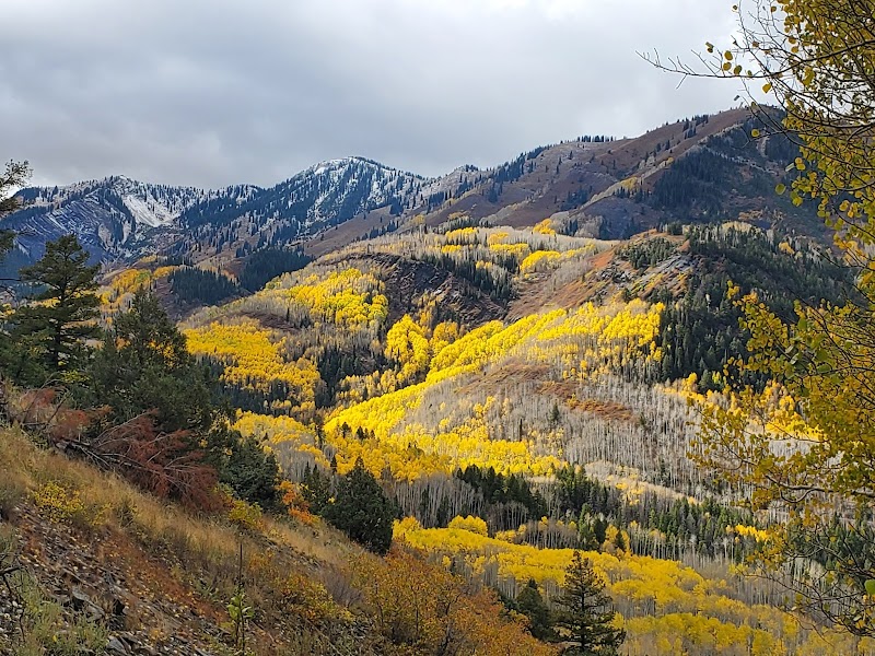 Adventure at Crystal Mill surrounding landscape