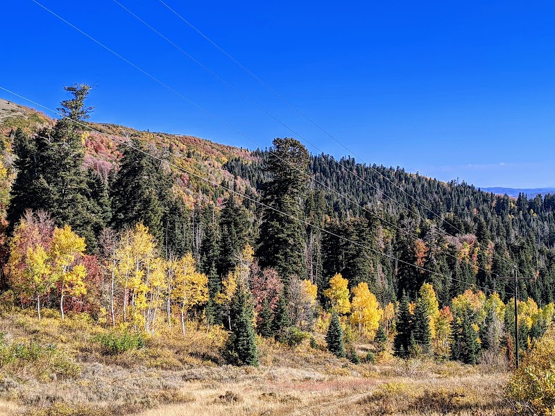 Stunning Vistas at Big Mountain Summit - Big Mountain Summit