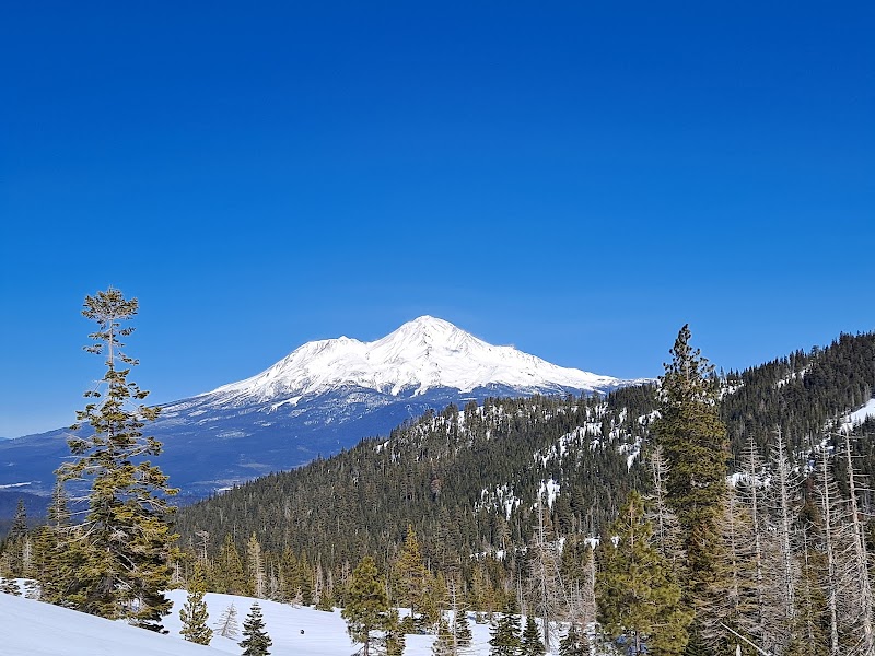 Serenity at Castle Lake: Nature's Hidden Gem surrounding landscape