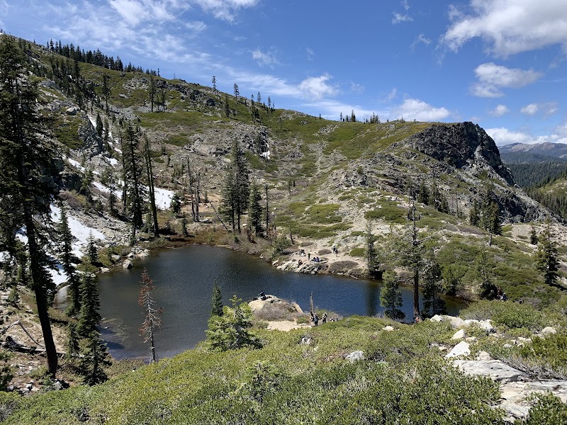 Serenity at Castle Lake: Nature's Hidden Gem outdoor detail