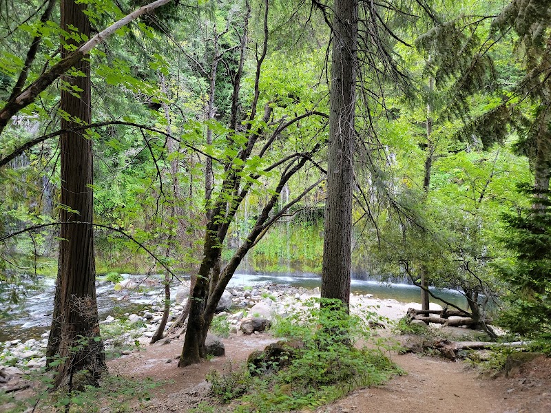 Cascading Wonder: Mossbrae Falls in Dunsmuir - Mossbrae Falls