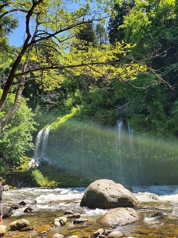 Cascading Wonder: Mossbrae Falls in Dunsmuir surrounding landscape