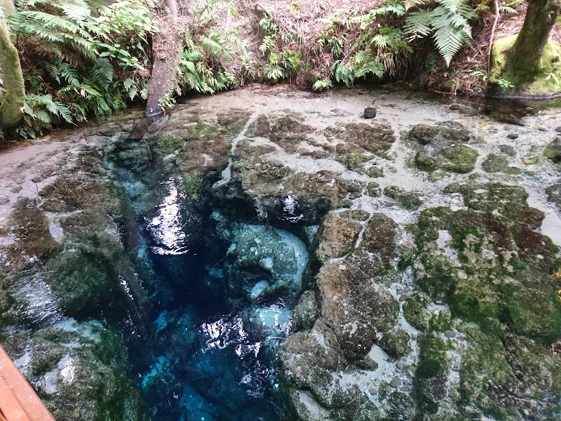 Crystal Waters of Hamurana Springs, New Zealand outdoor detail