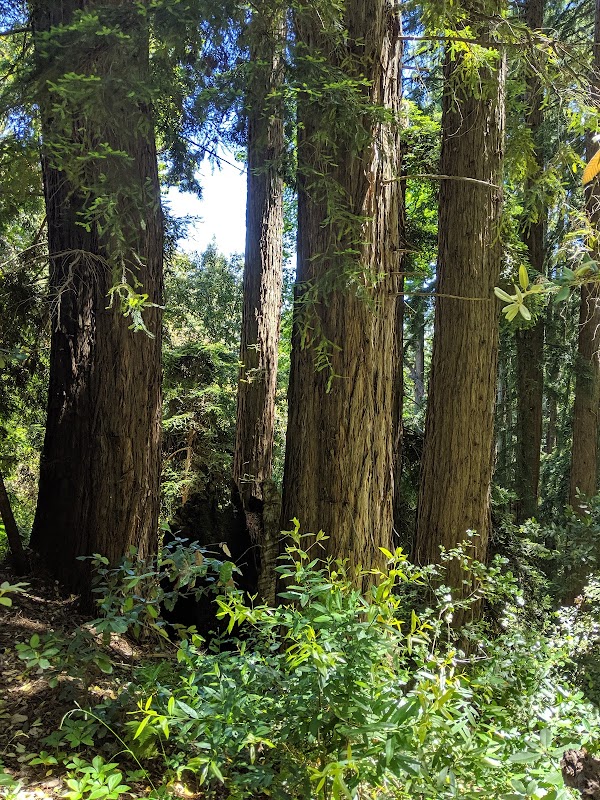Discover the Tranquil Beauty of Teague Hill Open Space Preserve surrounding landscape