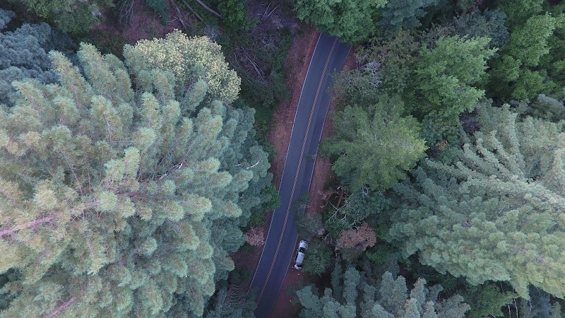 Discover the Tranquil Beauty of Teague Hill Open Space Preserve outdoor detail