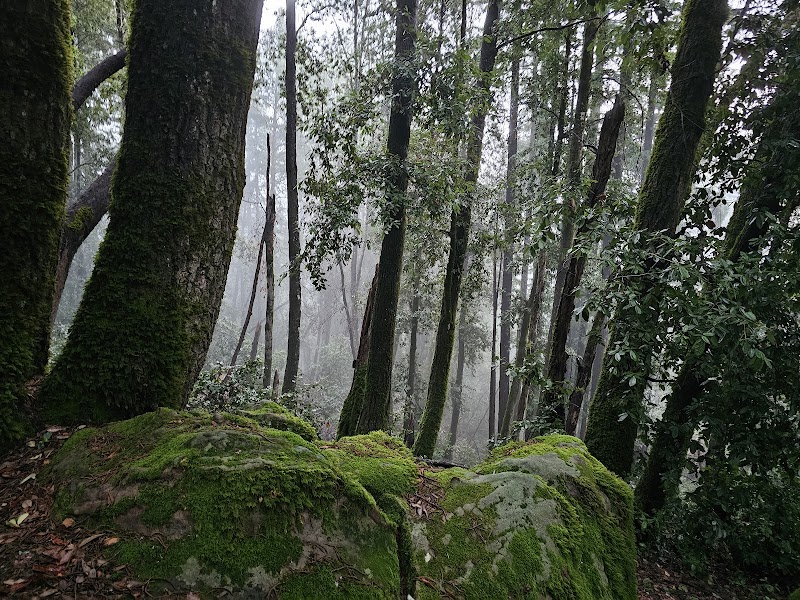 Discover the Tranquil Beauty of Teague Hill Open Space Preserve - Teague Hill Open Space Preserve
