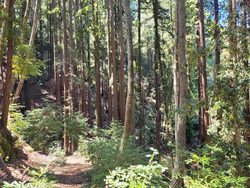 Discover the Tranquil Beauty of Teague Hill Open Space Preserve - Teague Hill Open Space Preserve