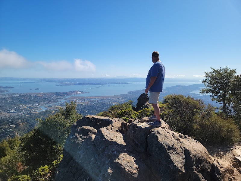 Majestic Mount Tamalpais surrounding landscape