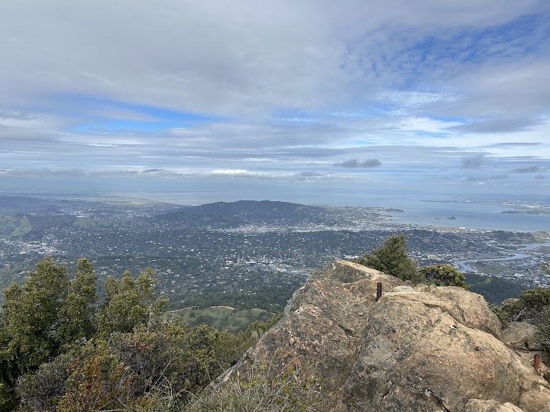 Majestic Mount Tamalpais outdoor detail