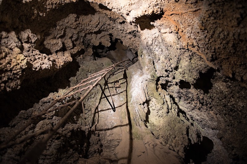 Exploring the Hidden Wonders of Lake Shasta Caverns surrounding landscape