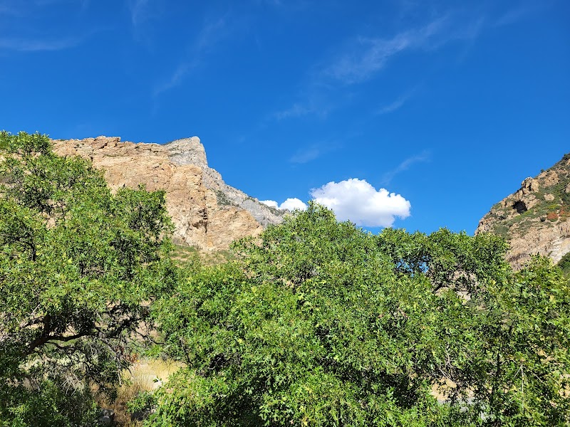 Majestic Peaks of Kyhv Mountain surrounding landscape