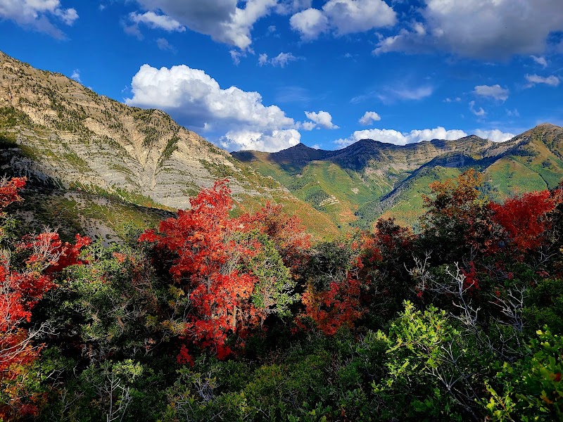 Majestic Peaks of Kyhv Mountain - Kyhv Mountain