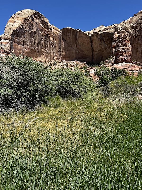 Majestic Waters of Lower Calf Creek Falls surrounding landscape