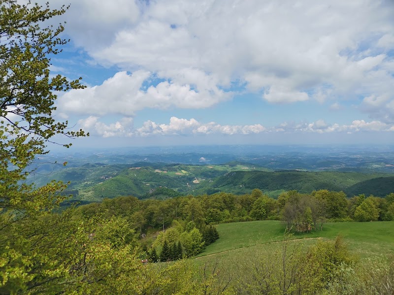 Povlen's Panorama: Nature's Masterpiece - Povlen