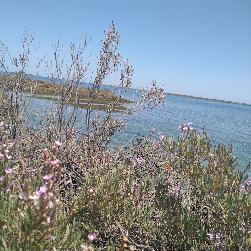 Water Wonderland of Ria Formosa: Portugal's Hidden Gem - Ria Formosa